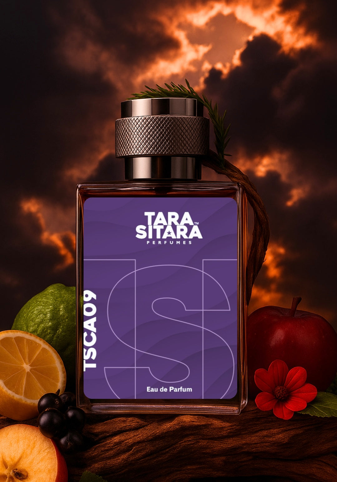 C*eed | Aventus Used By Orry